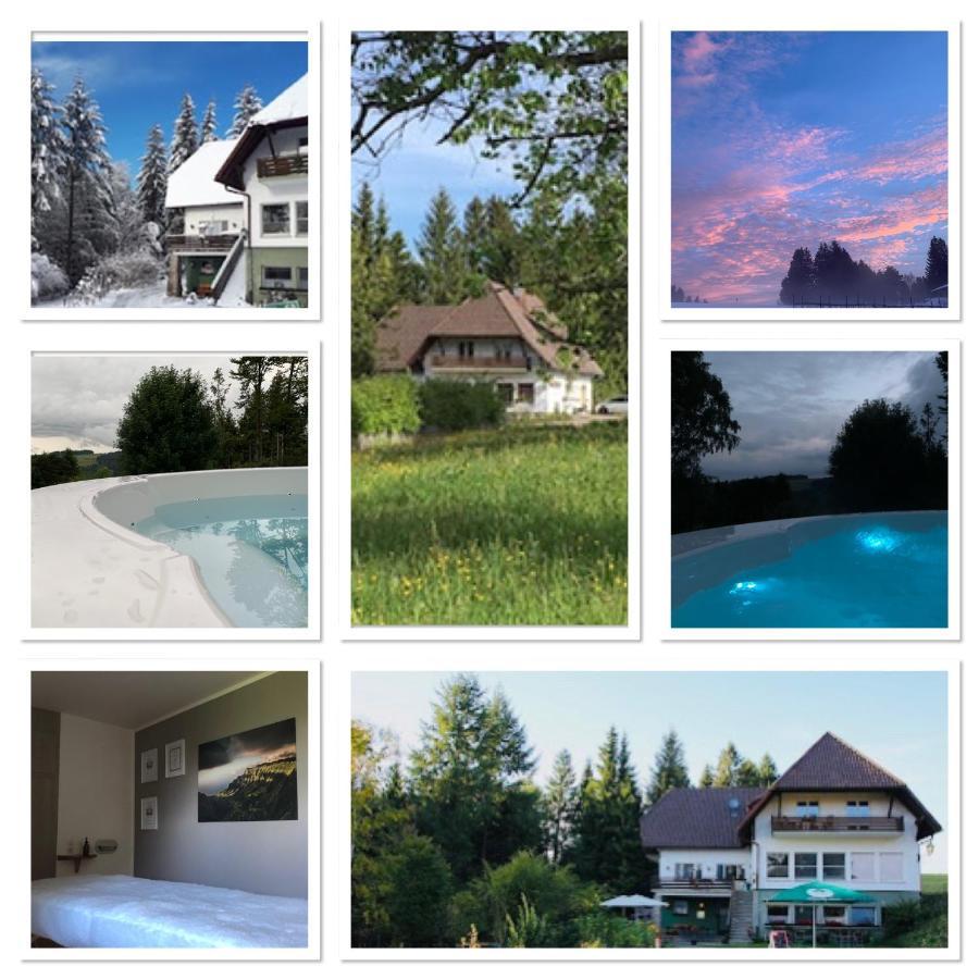B & B Der Waldvogel Herrischried Ngoại thất bức ảnh